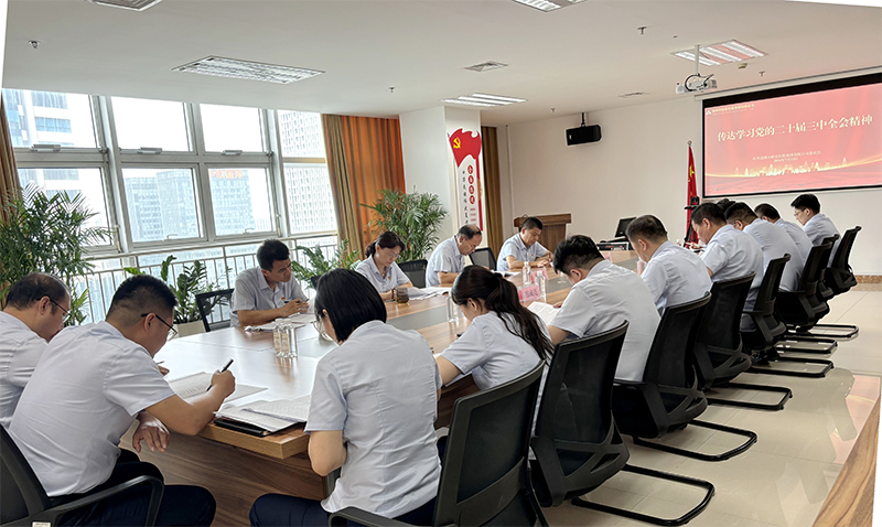 英国上市公司官网365召开党委扩大会议 传达学习党的二十届三中全会精神